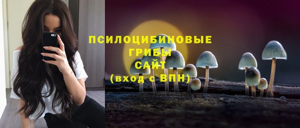 соль ск Зеленодольск